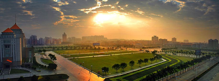 权威发布|这样的花都,太上头了!