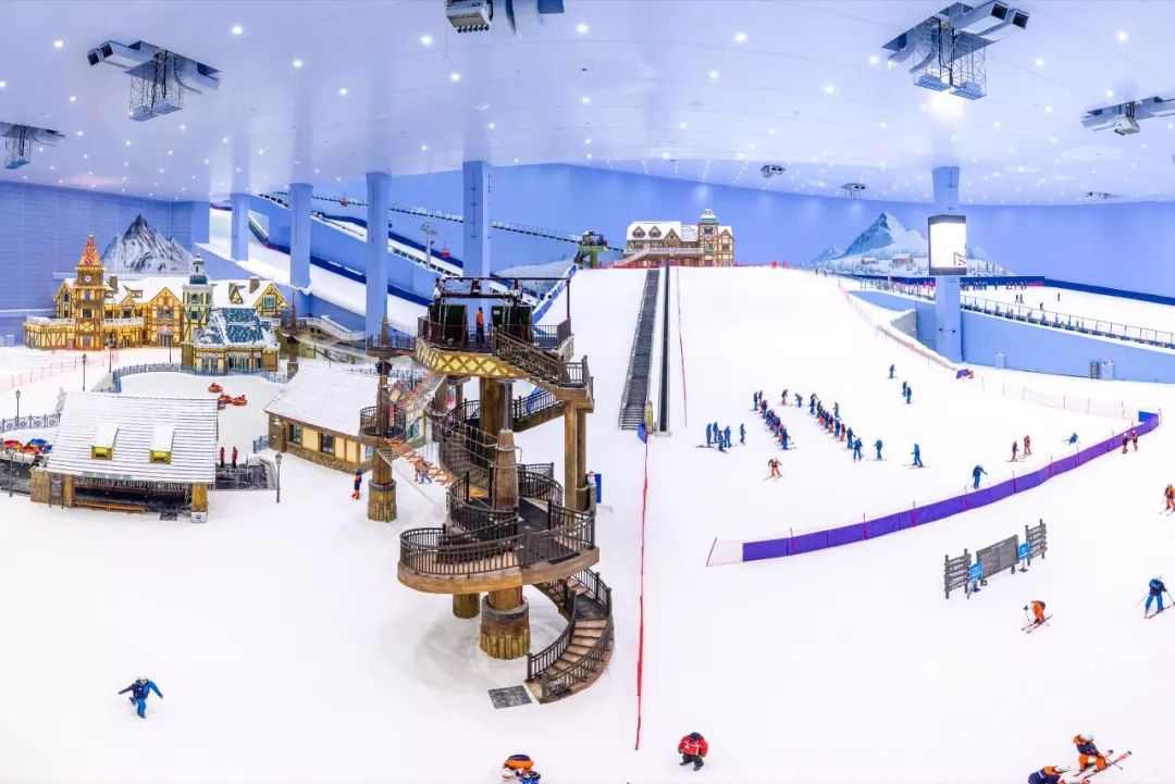 权威发布|这样的花都,太上头了!