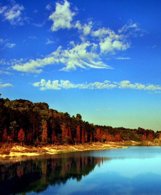 权威发布|这样的花都,太上头了!