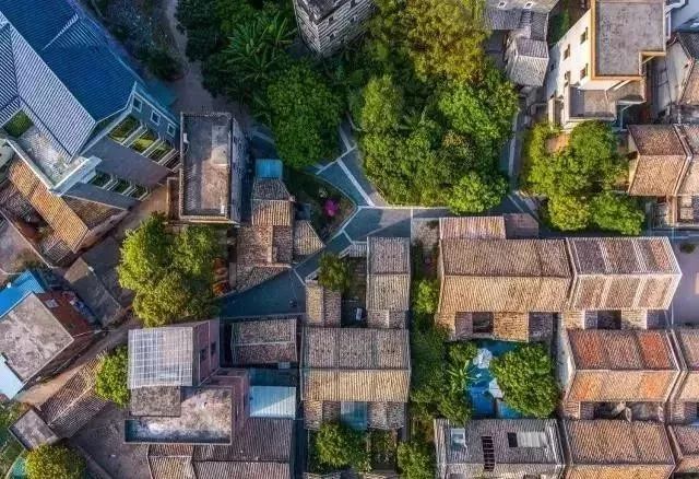 权威发布|这样的花都,太上头了!