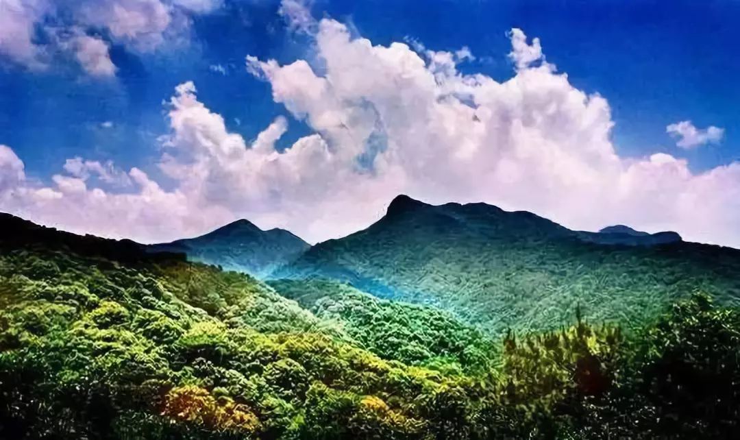 权威发布|这样的花都，太上头了！