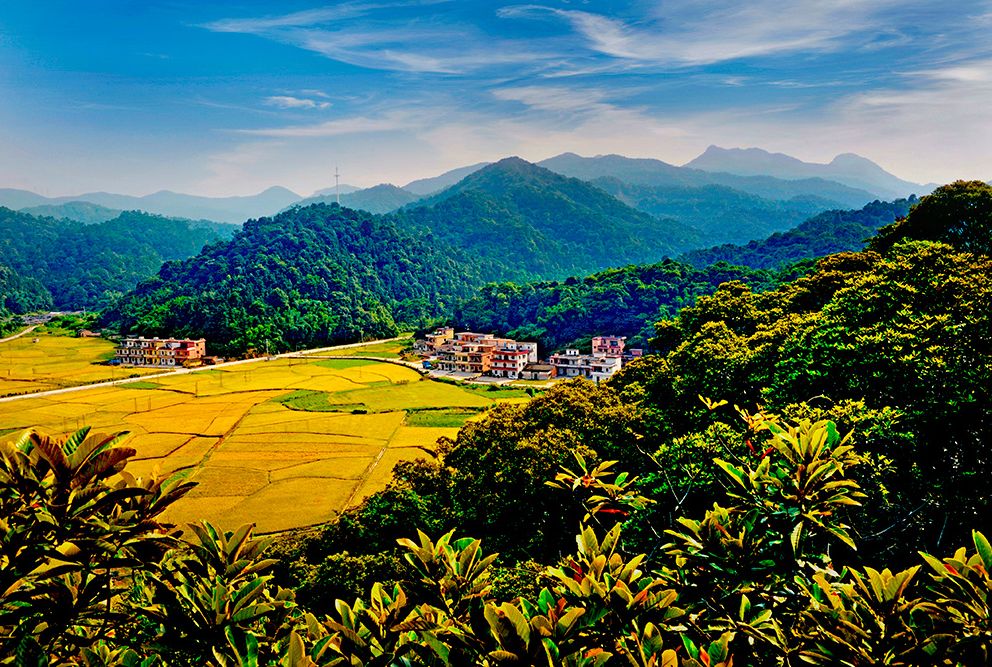 权威发布|这样的花都,太上头了!