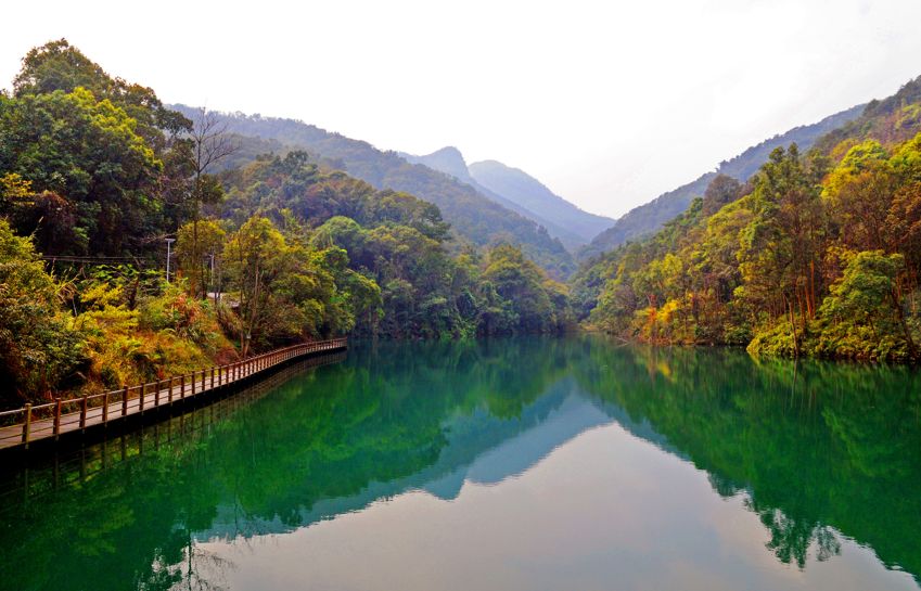 权威发布|这样的花都，太上头了！