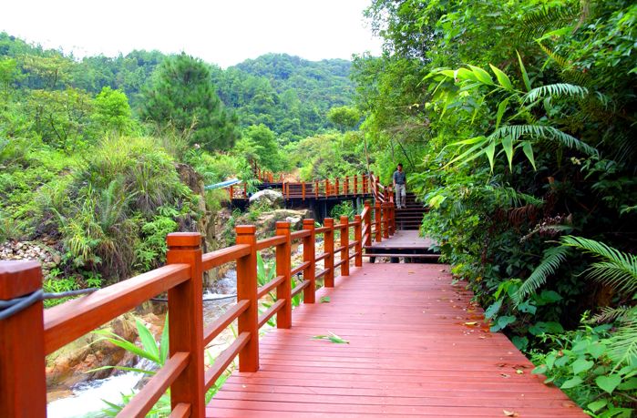 权威发布|这样的花都,太上头了!