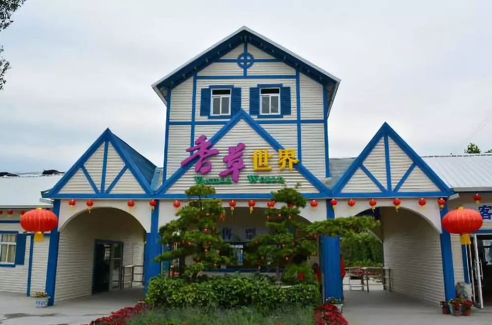 权威发布|这样的花都,太上头了!