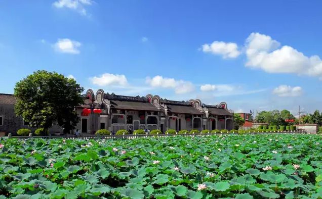 权威发布|这样的花都,太上头了!