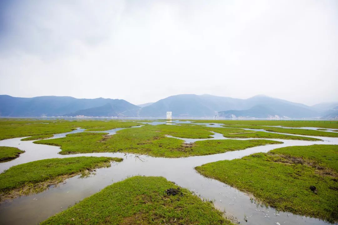 背包走遍云南,云南背包