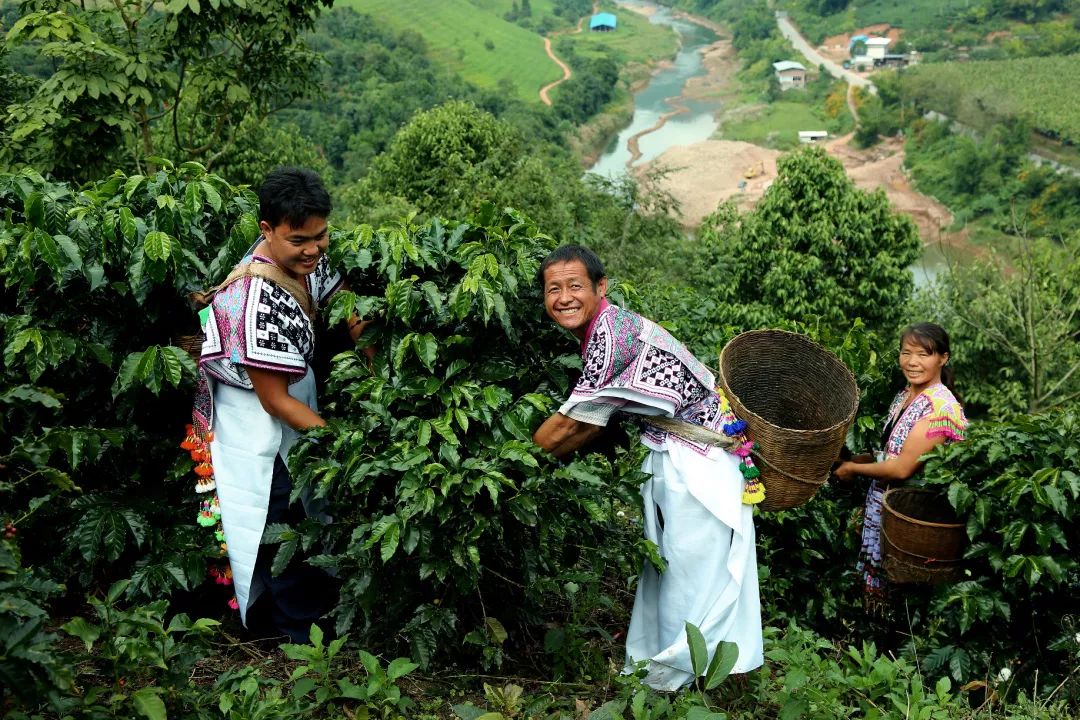 背包走遍云南,云南背包