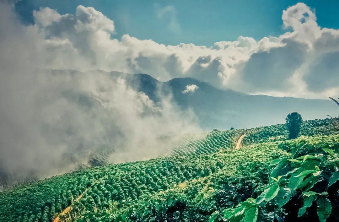 背包走遍云南,云南背包