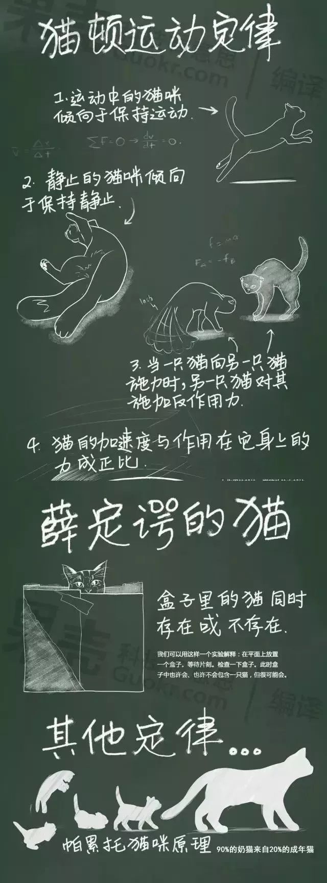 萌翻了！网友亲测猫趴在地上可以有多扁！原来猫的真实形态是液体的…