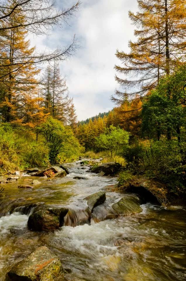 杜甫入川的历史,杜甫来成都的故事