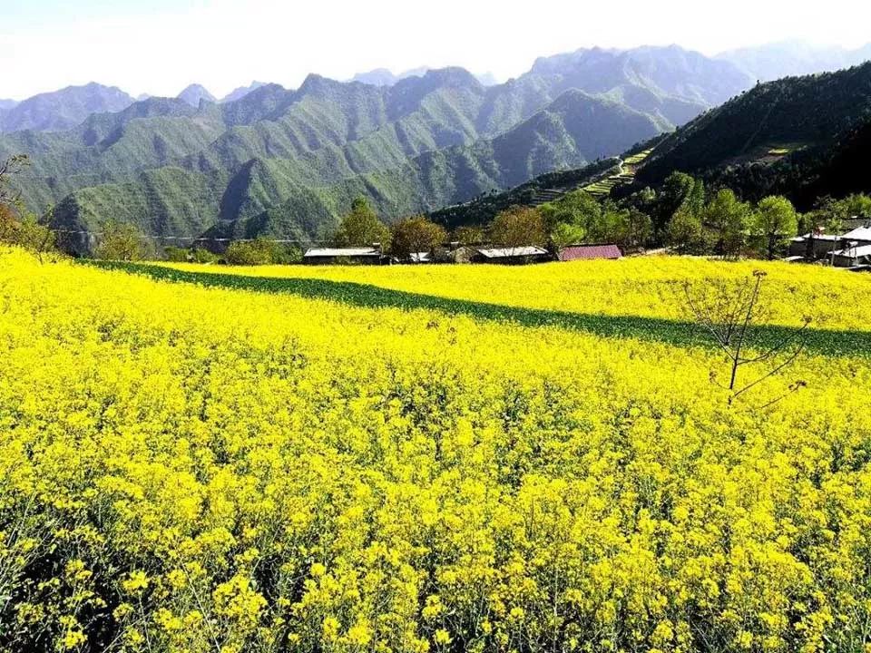 杜甫入川的历史,杜甫来成都的故事