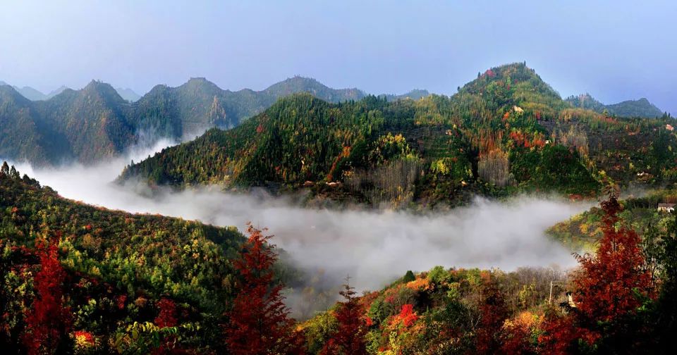 杜甫入川的历史,杜甫来成都的故事