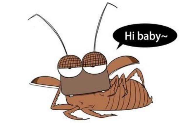 打不死的小强怎么才能消灭它,打不死的小强怎么消灭