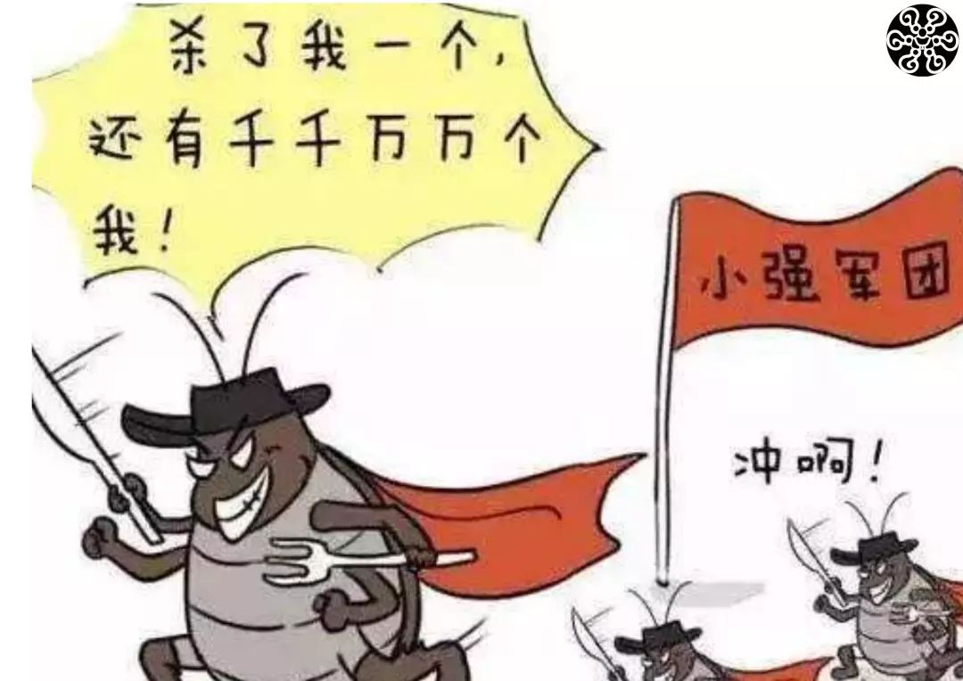 打不死的小强怎么才能消灭它,打不死的小强怎么消灭