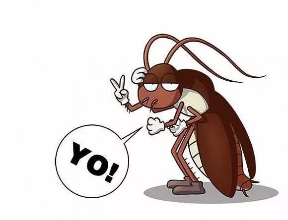 打不死的小强怎么才能消灭它,打不死的小强怎么消灭