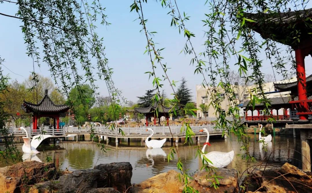 洛阳值得打卡的网红地方,洛阳网红打卡山有哪些景点