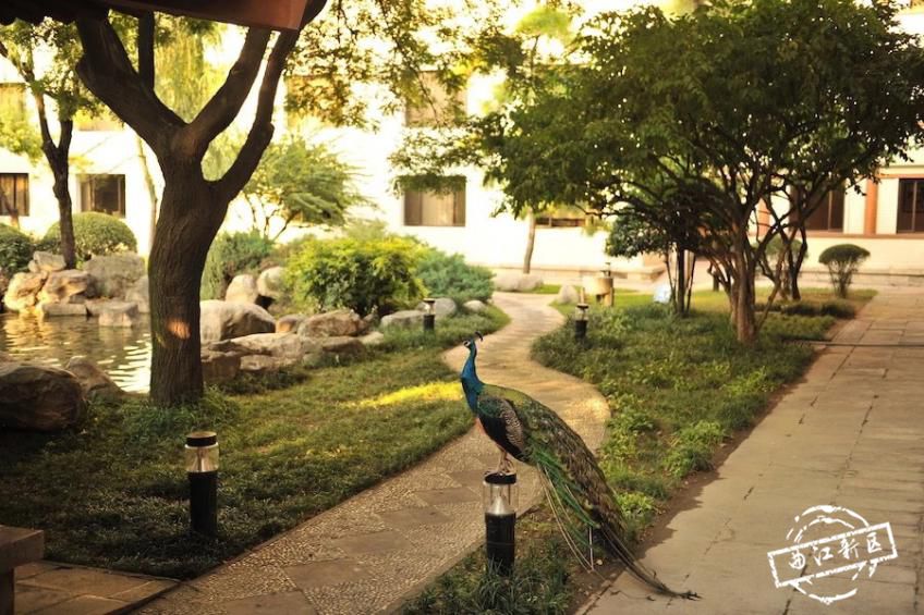 大雁塔下，这家“大腕级”酒店即将重磅回归！