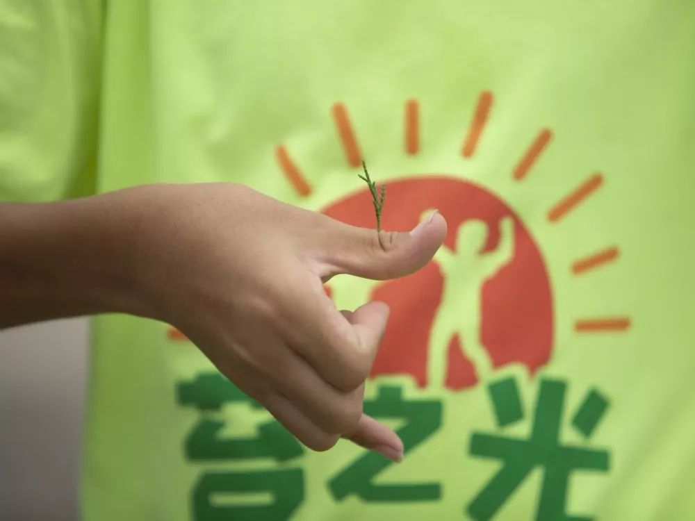 99推介（六）丨有爱项目集结完毕，快来加入爱的行列！