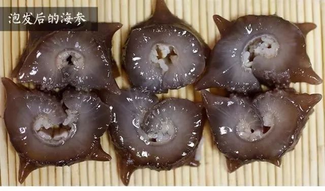 海参市场的真实现状,震惊正宗海参竟卖这么低的价格