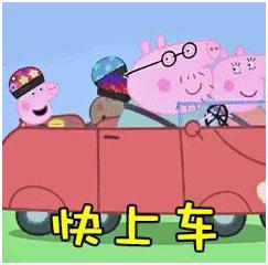 自贸区五周年挂牌,自贸区挂牌在哪