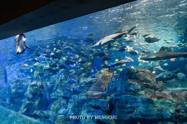 别府温泉和由布院哪个好,日本别府汤布院一日游