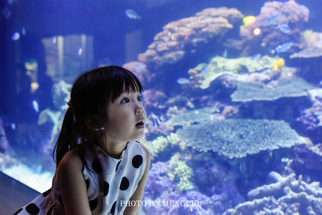 别府温泉和由布院哪个好,日本别府汤布院一日游