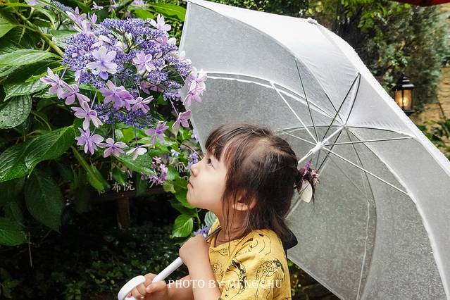 别府温泉和由布院哪个好,日本别府汤布院一日游