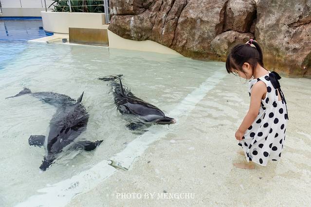 别府温泉和由布院哪个好,日本别府汤布院一日游