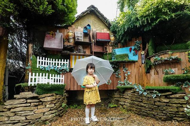 别府温泉和由布院哪个好,日本别府汤布院一日游