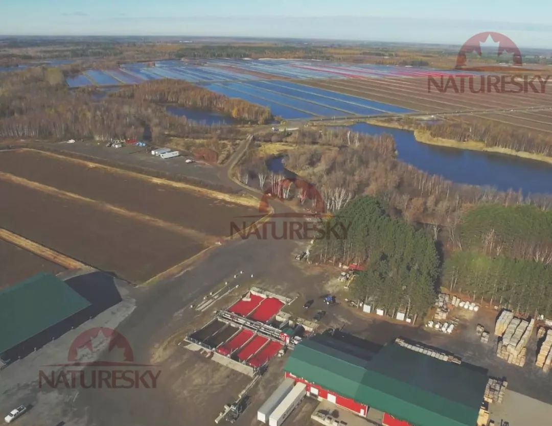 适合孩子做饭用的厨具,适合大点小朋友做饭的厨具