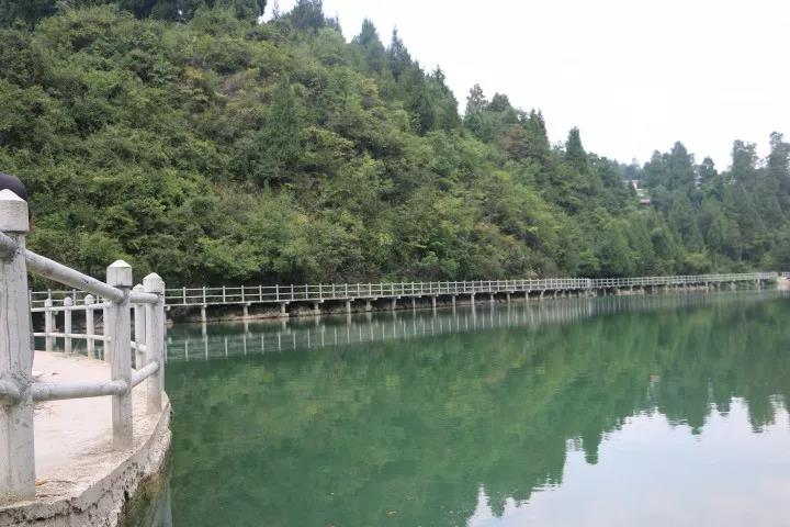 贵州省铜仁市甲鱼养殖基地,贵州铜仁有养殖甲鱼