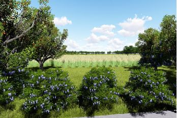 占地6100亩生态湿地公园,占地195亩的公园