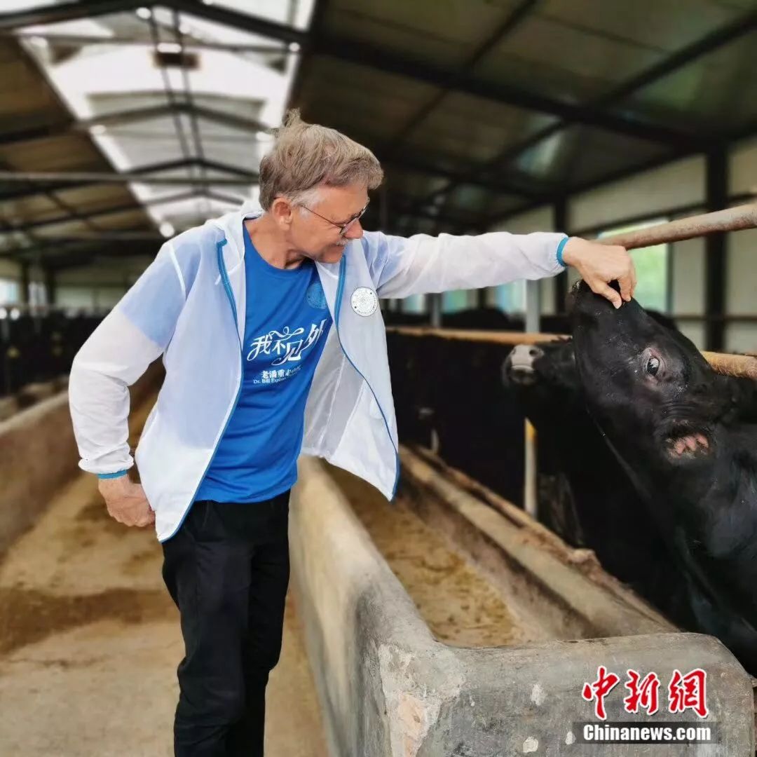 环游全中国的老外,老外驾车环游中国