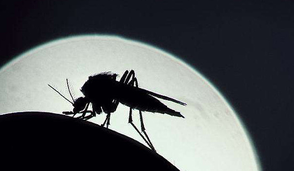 小孩被蚊子叮咬用什么最好,蚊子叮咬驱蚊神器婴儿