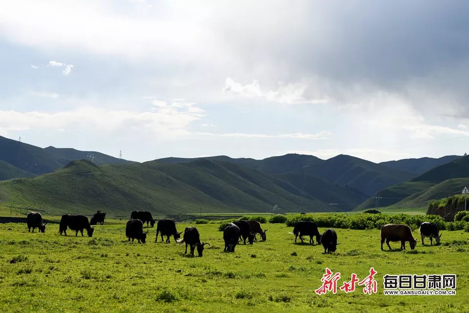 甘肃跨了哪几个气候区,甘肃有哪一些地理气候特色