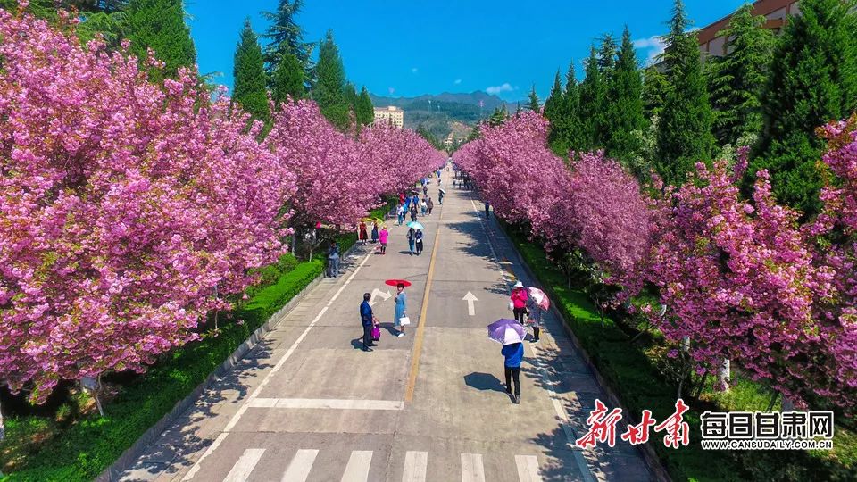 甘肃跨了哪几个气候区,甘肃有哪一些地理气候特色