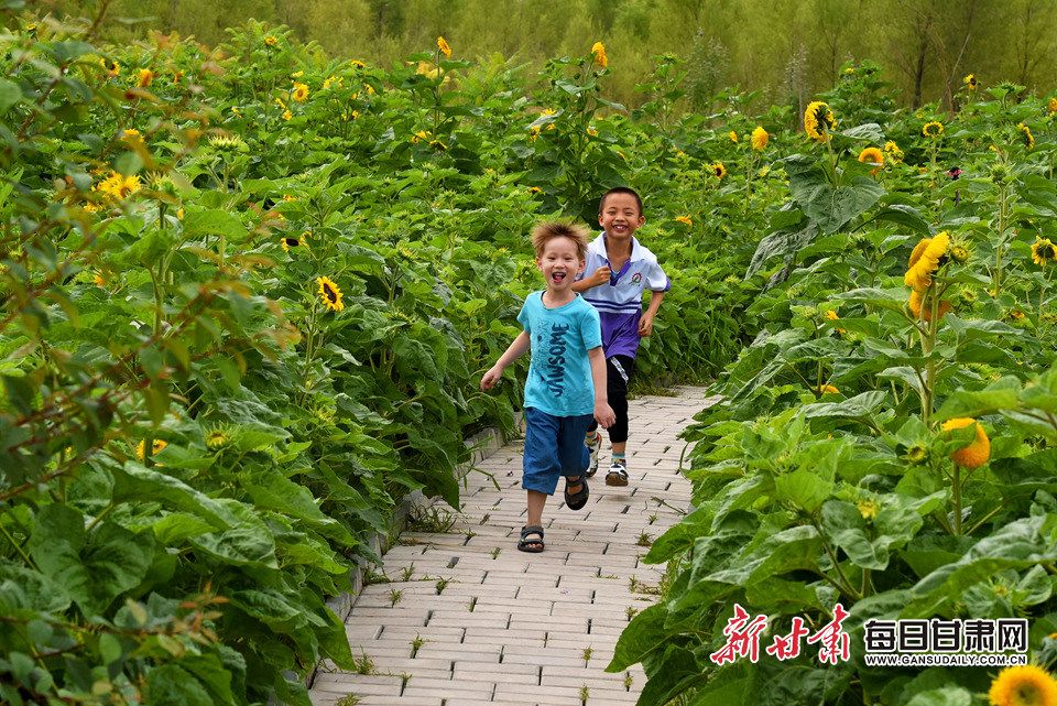 甘肃跨了哪几个气候区,甘肃有哪一些地理气候特色