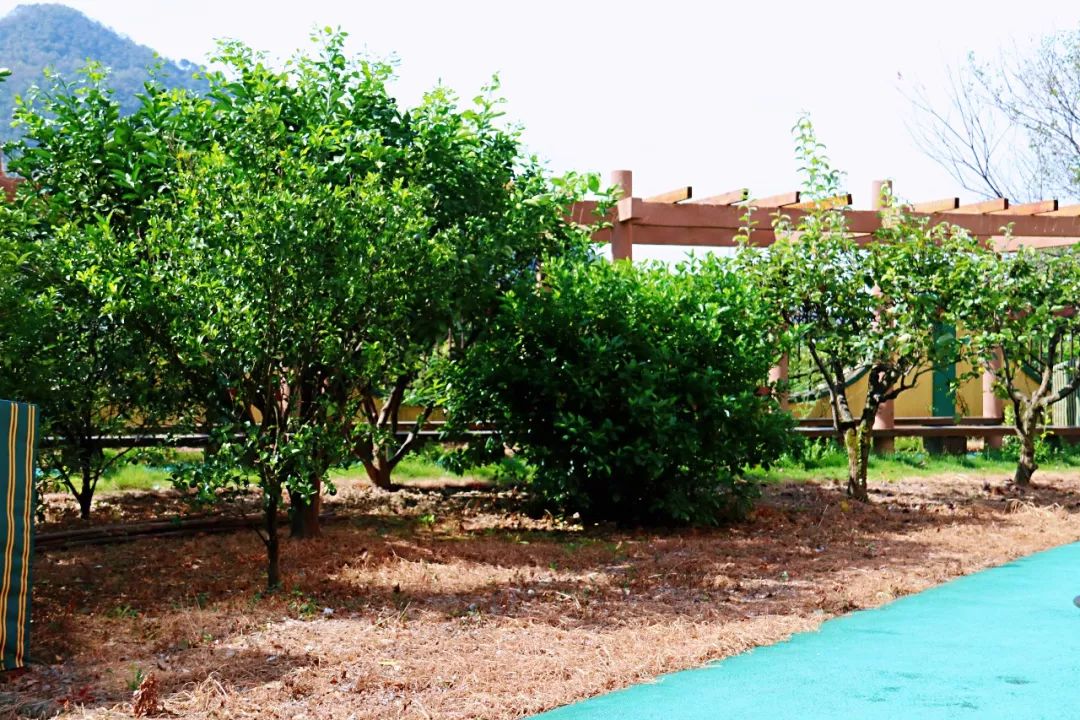 北仑国际学校开学,北仑新增九年制学校