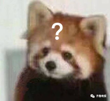 这个小区2478户业主领分红，镇江人你们小区的公共收益呢？