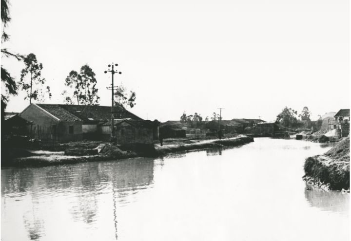 撤县设区有放开迹象吗,中国首个镇改市的温州龙港