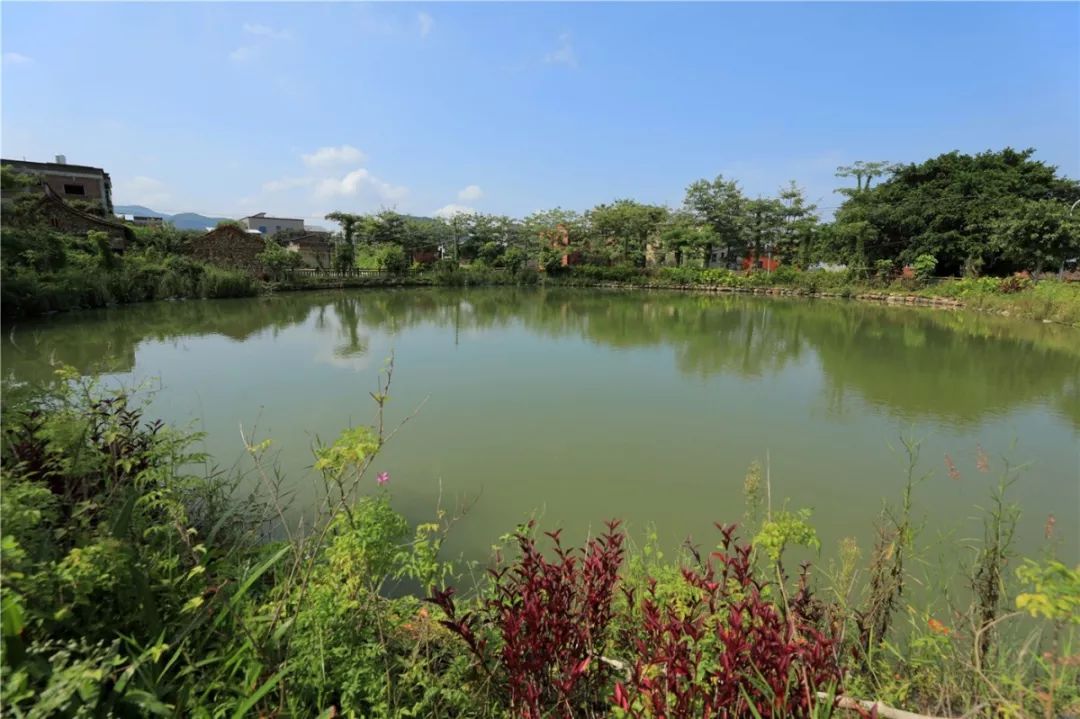 厦门翔安御宅村,厦门翔安新圩镇御宅村