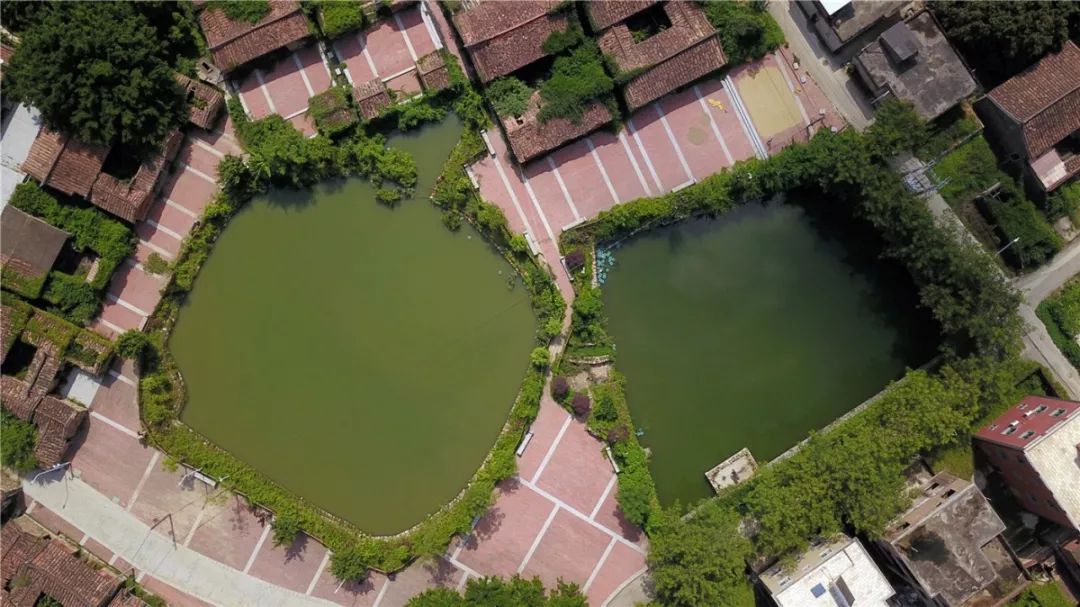 厦门翔安御宅村,厦门翔安新圩镇御宅村