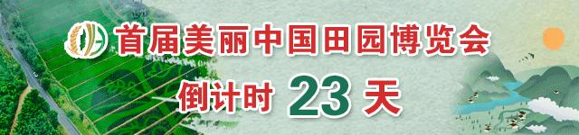 乡情乡韵|德清水乡桑事