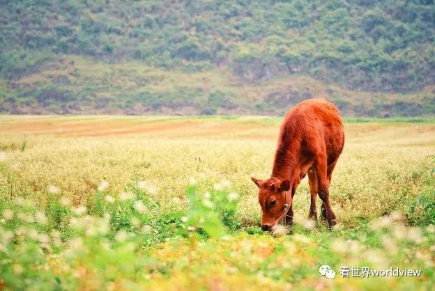 广西今日头条地址,广西有哪些头条自媒体