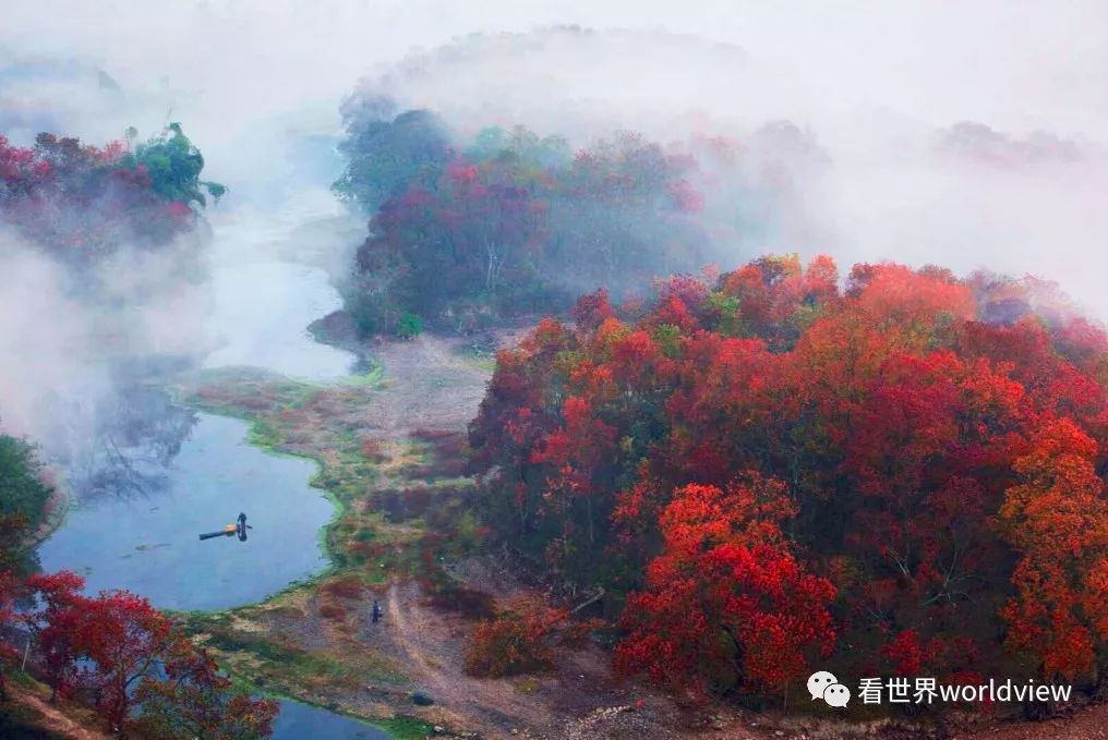 广西今日头条地址,广西有哪些头条自媒体