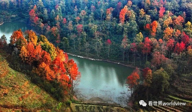 广西今日头条地址,广西有哪些头条自媒体