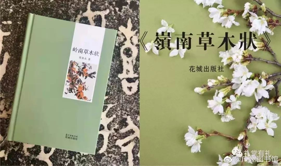 一花一叶，揭开岭南过去的面纱|我抒我读第70期