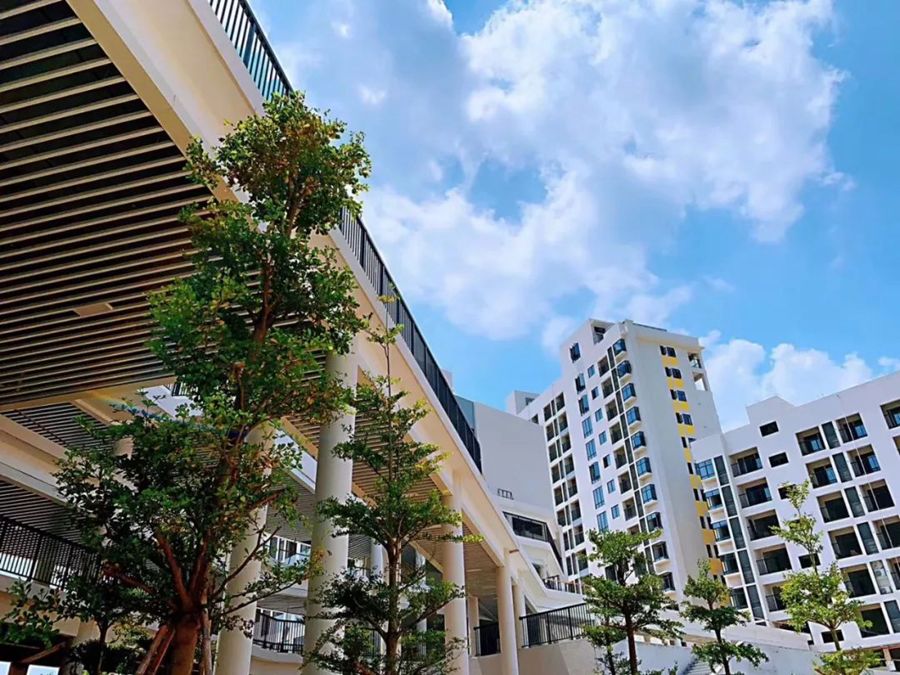 最新公示东莞将新增一批品牌学校,2020年东莞有多少新学校投入使用