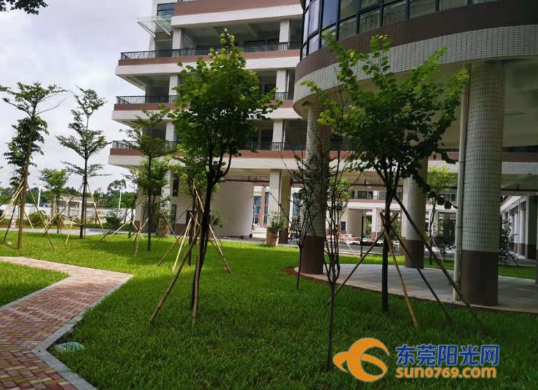 最新公示东莞将新增一批品牌学校,2020年东莞有多少新学校投入使用